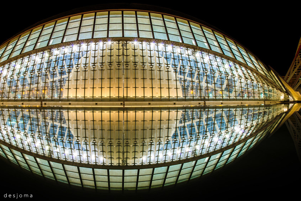 museo artes y ciencias desjoma