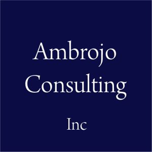 logo ambrojo consulting negocios socios